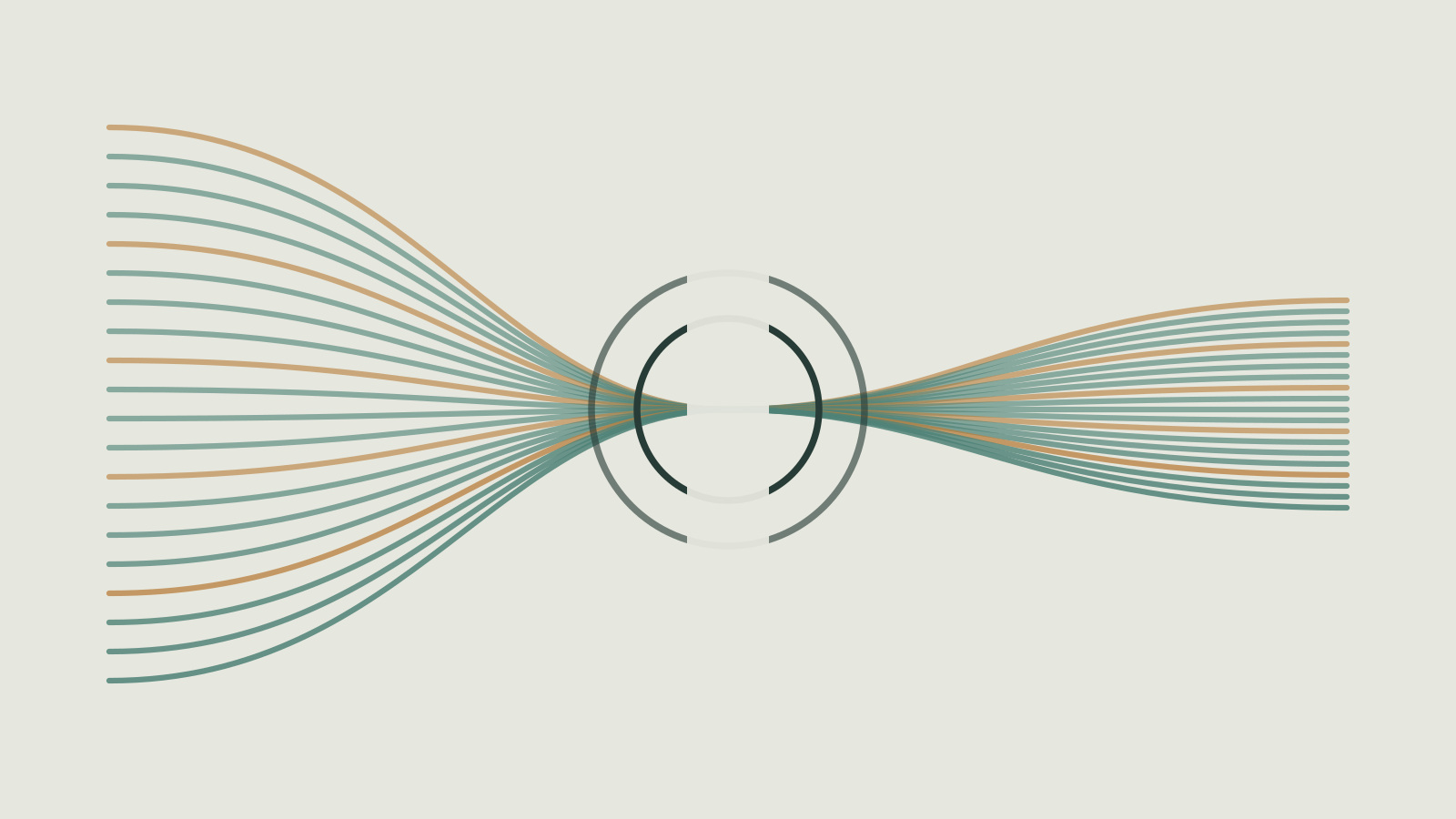 Representation Geometry Regularization: An update should preserve distinctions that were already useful.