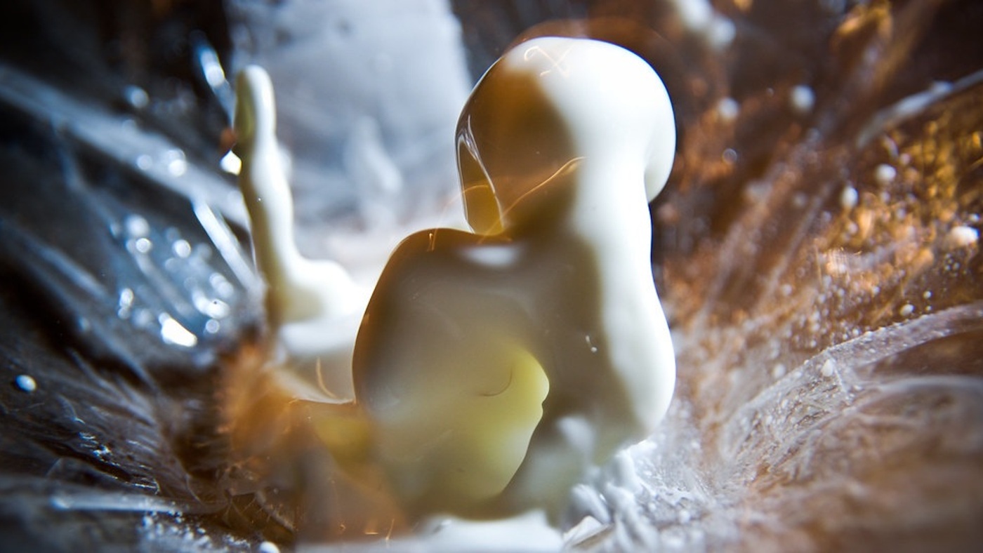 A high-speed photograph of a non-Newtonian fluid. Fluid-dynamics context, not a simulation result from the paper.