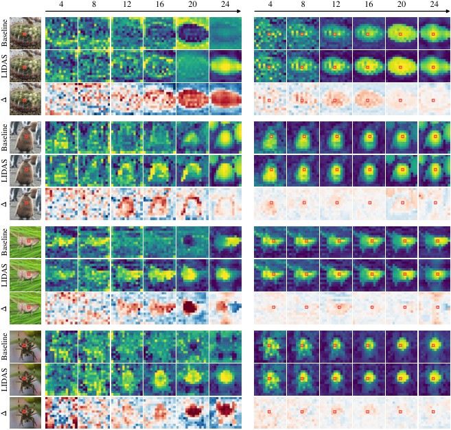 Research visual accompanying “Growing to See: Efficient Pretraining of Self-Supervised Vision Transformers”.